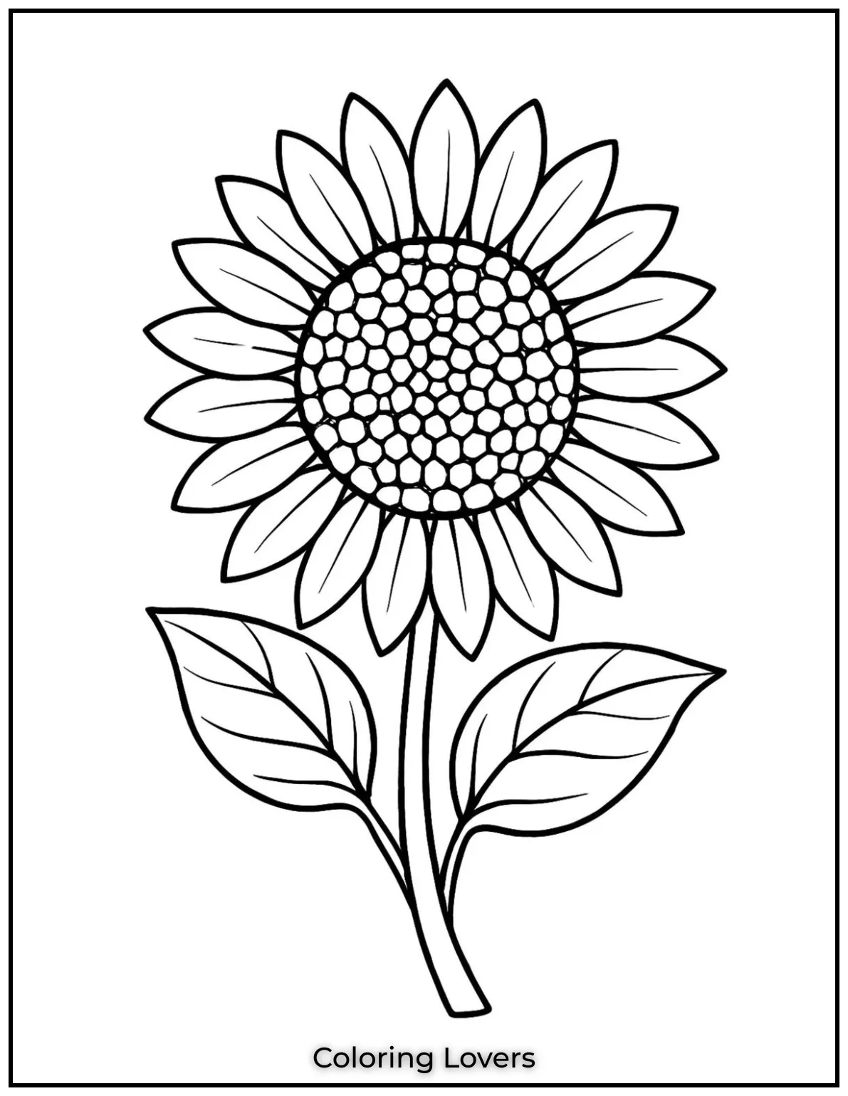 This cute sunflower has bright happy petals. Its sure to spread joy to kids