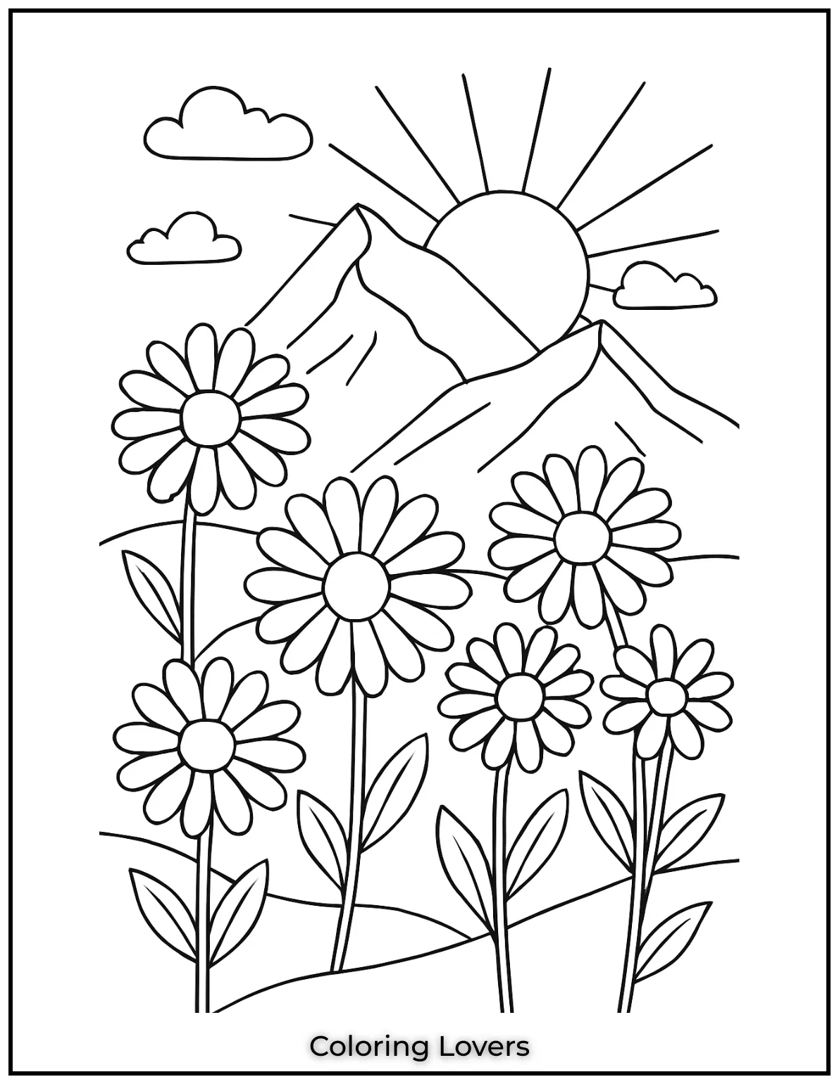 These daisies are enjoying the sunlight in a beautiful mountain scene