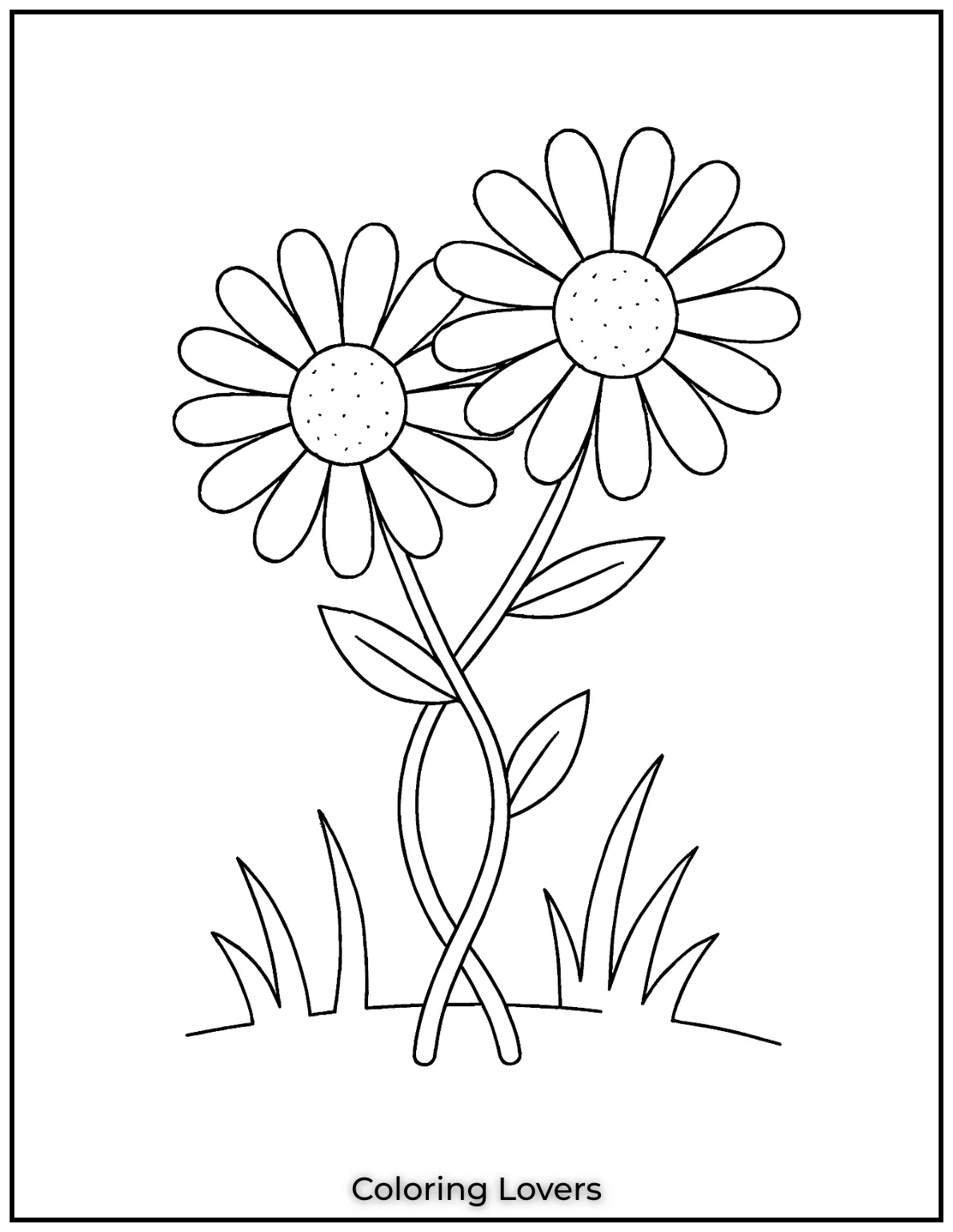 These two daisies are intertwined to show the beauty of connection in nature. Its a calming and peaceful design perfect for relaxing with some colors