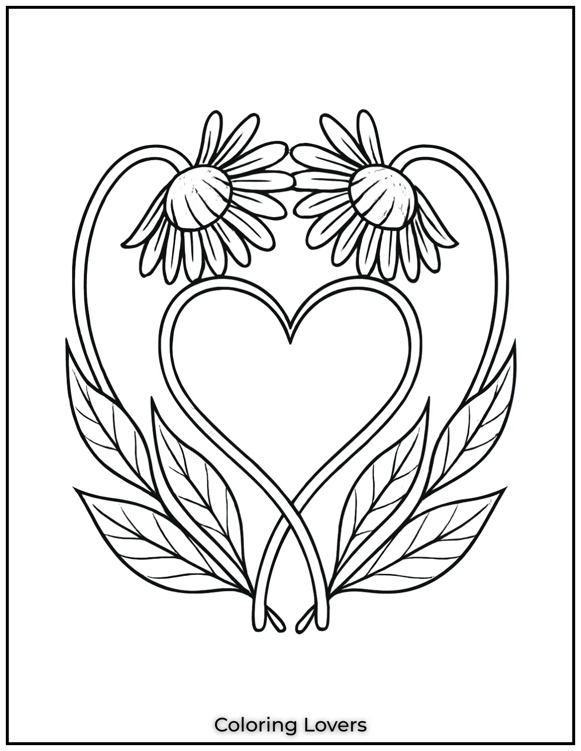 These two daisies come together to form a heart. I love how the flowers seem to be embracing creating a beautiful and delicate design for everyone to enjoy