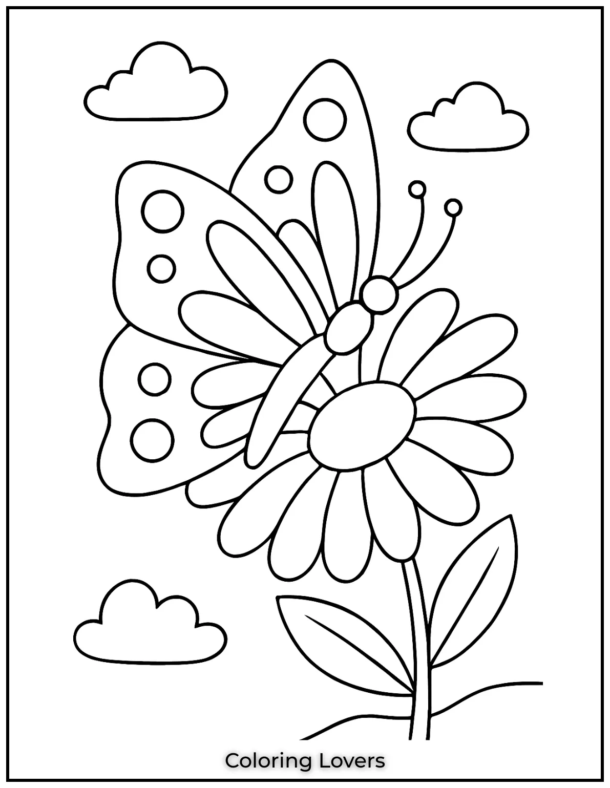 This butterfly resting on a daisy brings together the peacefulness of nature