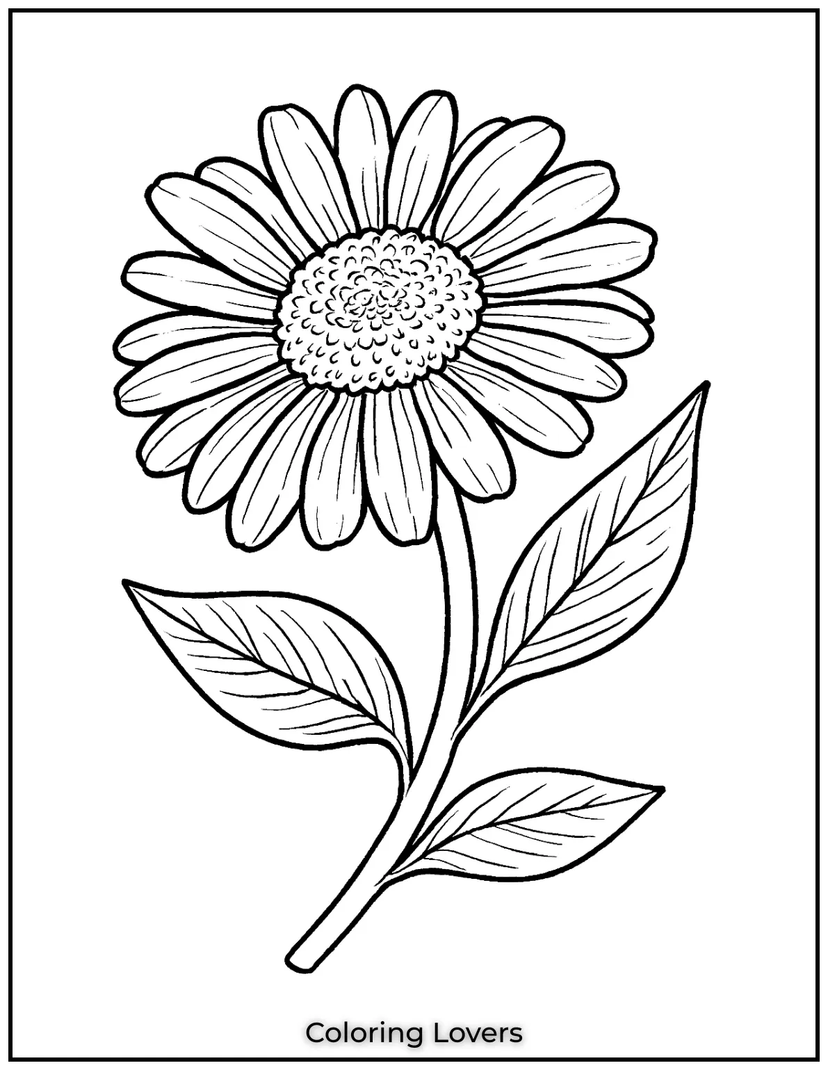 This daisy is drawn with extra detail to capture the beauty of the flower